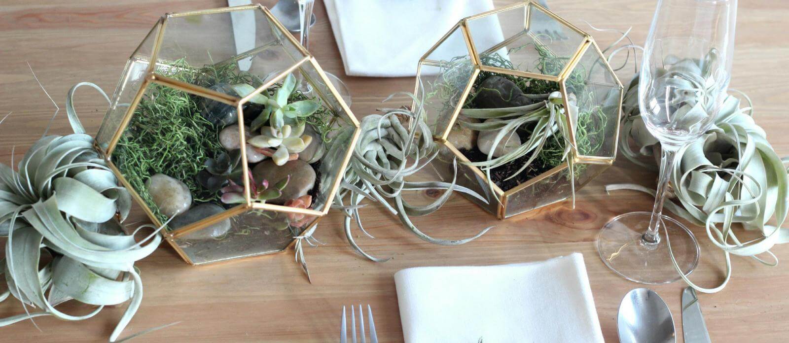 Rock Terrariums for wedding table (1)