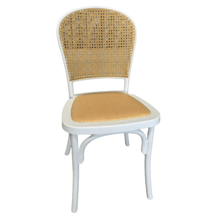 resin dining chair bulk