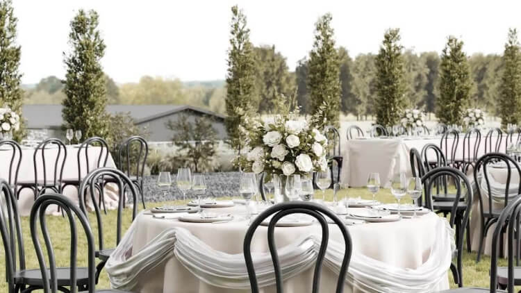 resin bentwood chair supplier