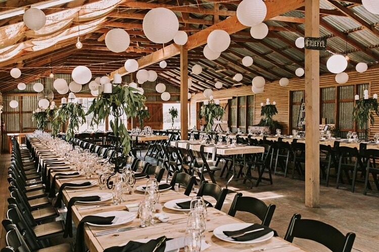 black resin folding chair bulk