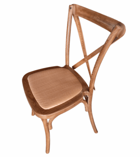 Resin X Back Chair