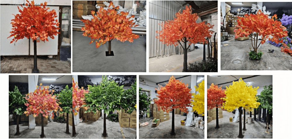 Maple Tree