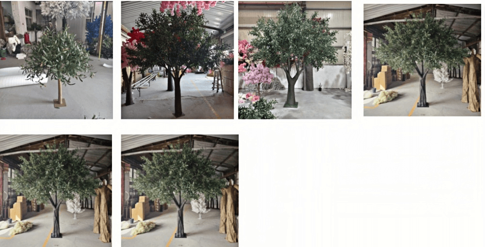 Olive Tree