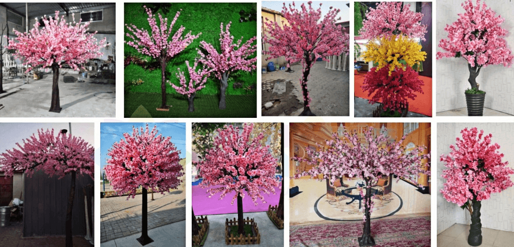 Peach Tree