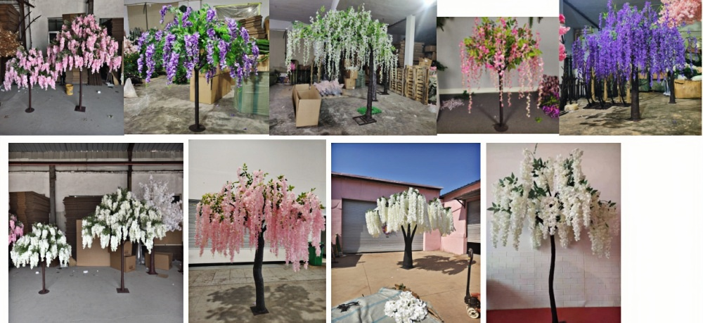 Wisteria Tree