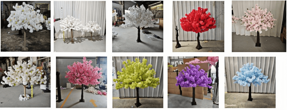 cherry blossom