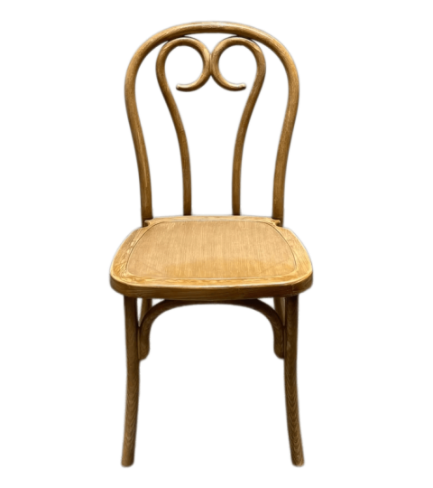 Vintage Resin Dining Chair