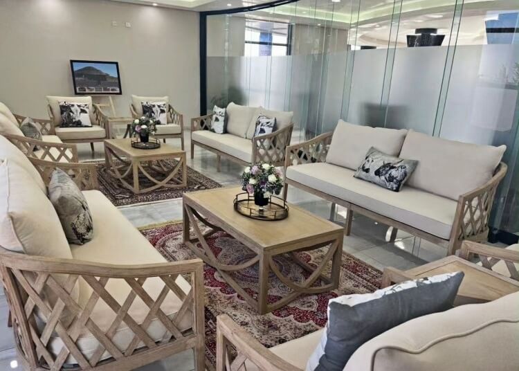 French Sofa Furniture